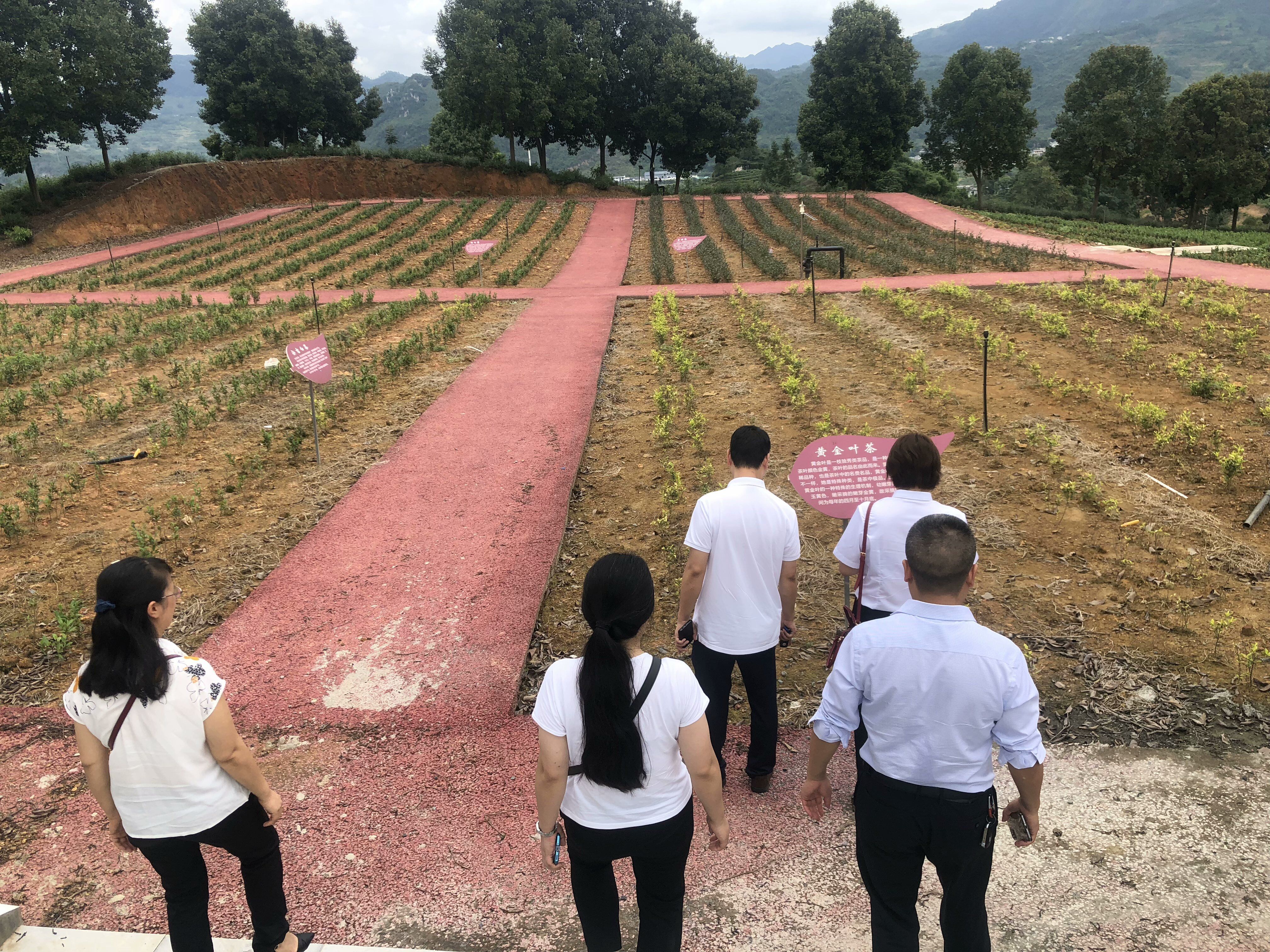 QQ图片20210903163501