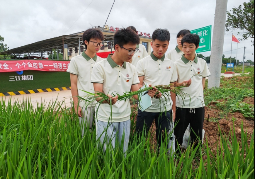 感受现代农业脉动  培养兴农新农人——记我院“青春筑梦 七彩农业”社会实践团三下乡