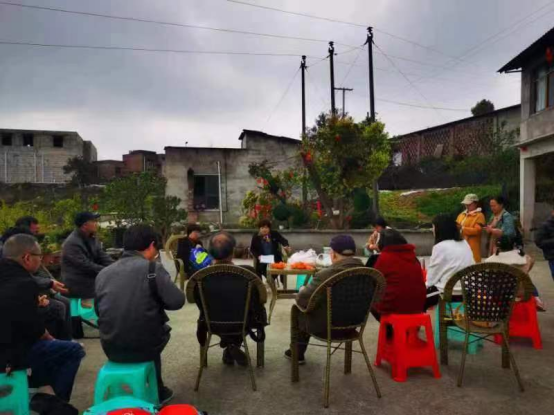 民盟welcome皇冠地址支部开展学两会、走基层实践学习活动