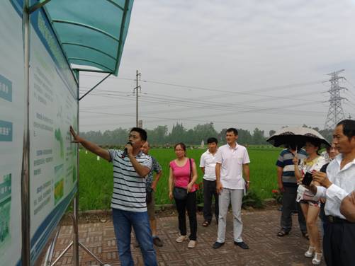 学员们在听工作人员介绍参观崇州杨柳农村土地承包经营权股份合作社情况