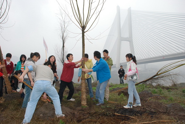 312植树活动
